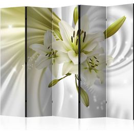 Sermi Artgeist Green Captivation II 225x172cm