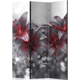 Sermi Artgeist Shadow of Passion 135x172cm