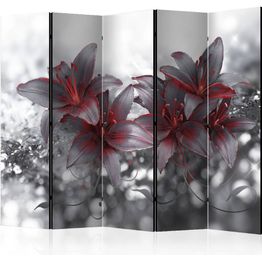 Sermi Artgeist Shadow of Passion II 225x172cm