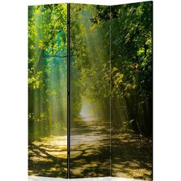 Sermi Artgeist Road in Sunlight 135x172cm