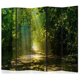 Sermi Artgeist Road in Sunlight II 225x172cm