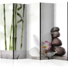 Sermi Artgeist Harmony II 225x172cm