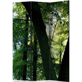 Sermi Artgeist Spring in the Park 135x172cm