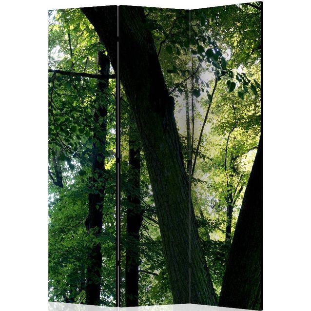 Sermi Artgeist Spring in the Park 135x172cm