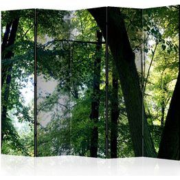 Sermi Artgeist Spring in the Park II 225x172cm