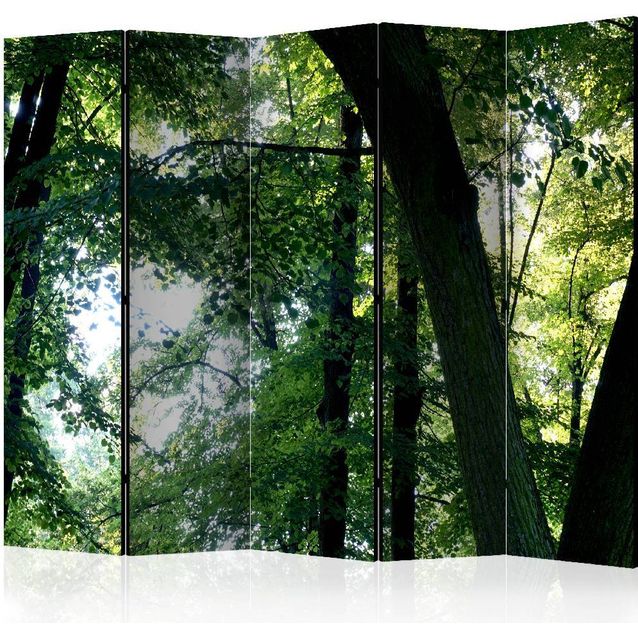 Sermi Artgeist Spring in the Park II 225x172cm