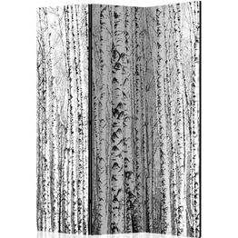 Sermi Artgeist Birch forest 135x172cm