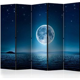 Sermi Artgeist Moonlit night II 225x172cm