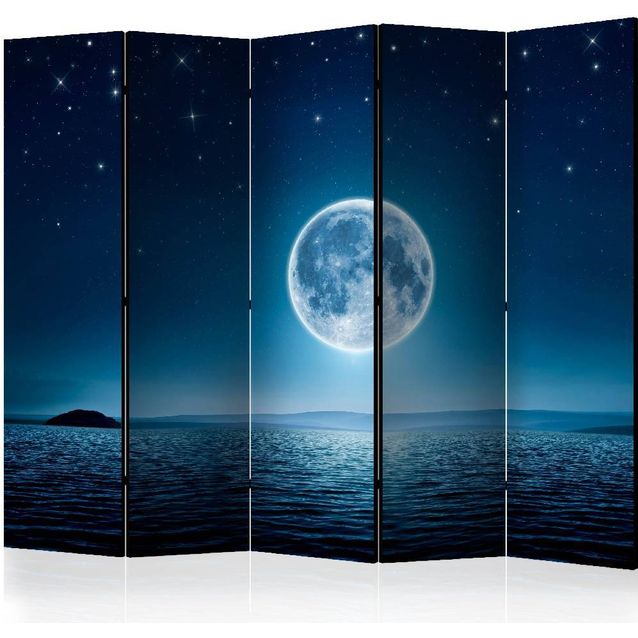 Sermi Artgeist Moonlit night II 225x172cm