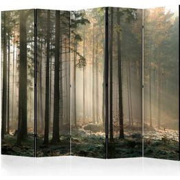 Sermi Artgeist Foggy November morning II 225x172cm