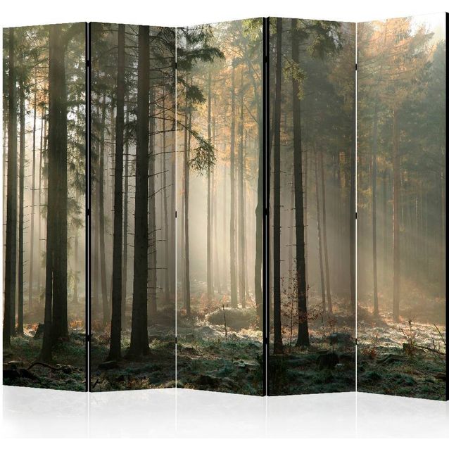 Sermi Artgeist Foggy November morning II 225x172cm