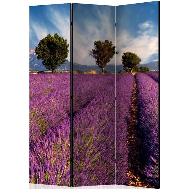 Sermi Artgeist Lavender field in Provence France 135x172cm