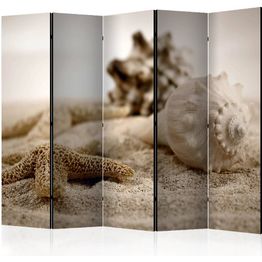 Sermi Artgeist Beach and shell II 225x172cm