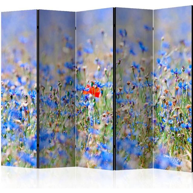 Sermi Artgeist A sky-colored meadow - cornflowers II 225x172cm