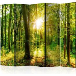 Sermi Artgeist Forest Rays II 225x172cm