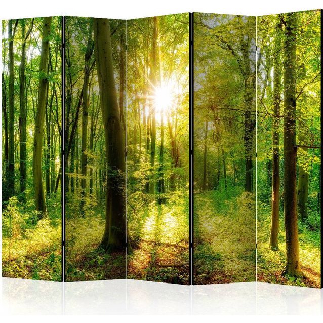 Sermi Artgeist Forest Rays II 225x172cm