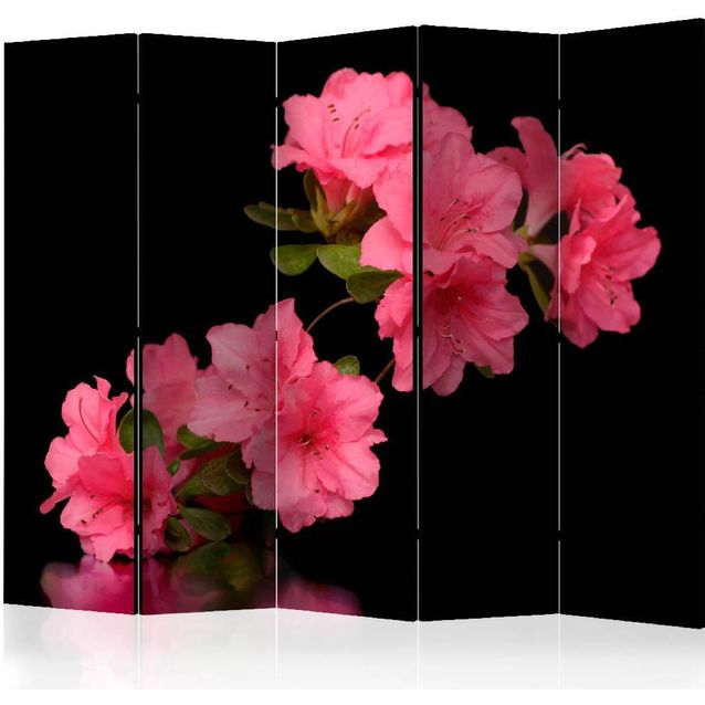 Sermi Artgeist Azalea in Black II 225x172cm