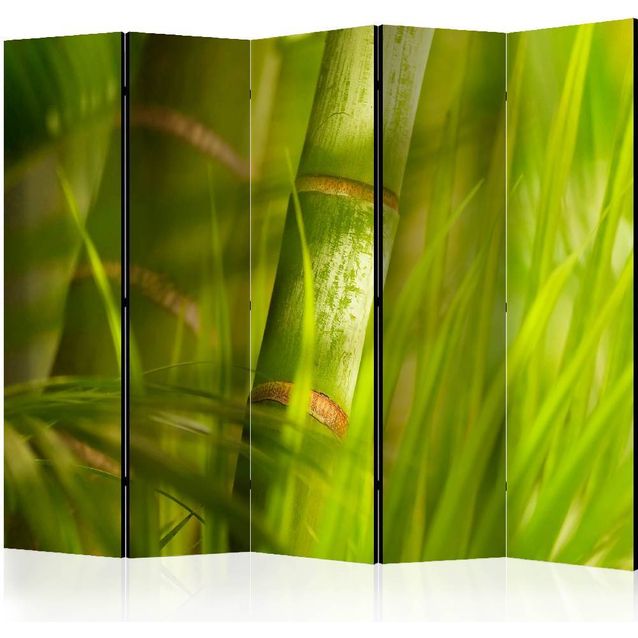 Sermi Artgeist bamboo - nature zen II 225x172cm