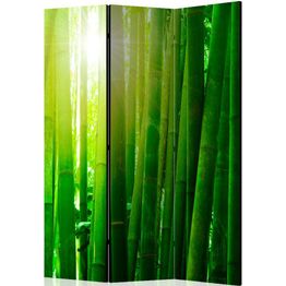 Sermi Artgeist Sun and bamboo 135x172cm