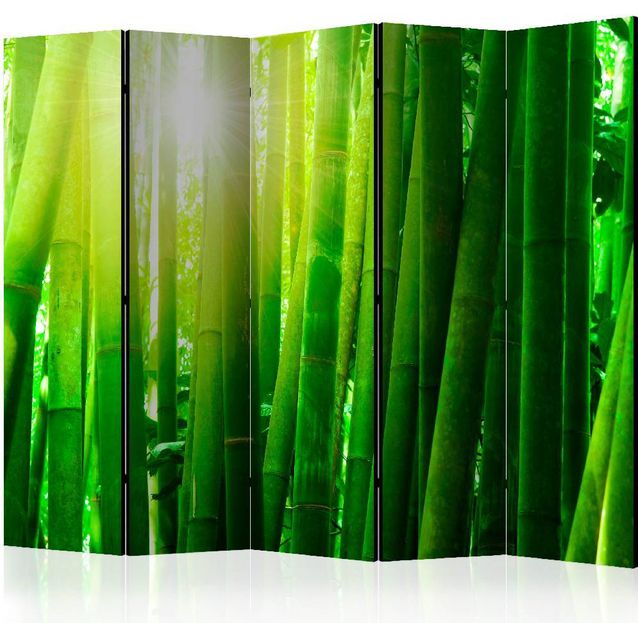 Sermi Artgeist Sun and bamboo 225x172cm