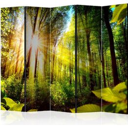 Sermi Artgeist Forest Hideout II 225x172cm