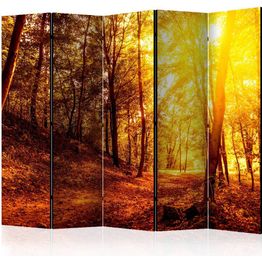 Sermi Artgeist Autumn Walk II 225x172cm