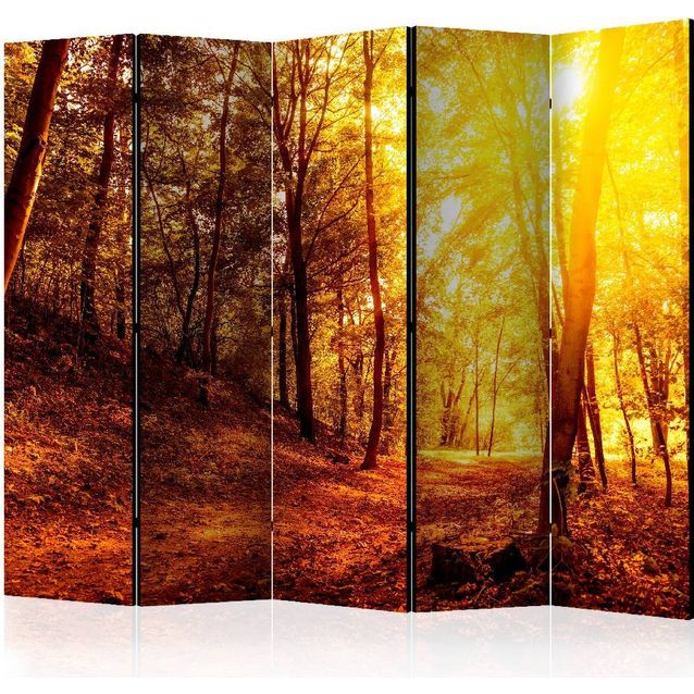 Sermi Artgeist Autumn Walk II 225x172cm