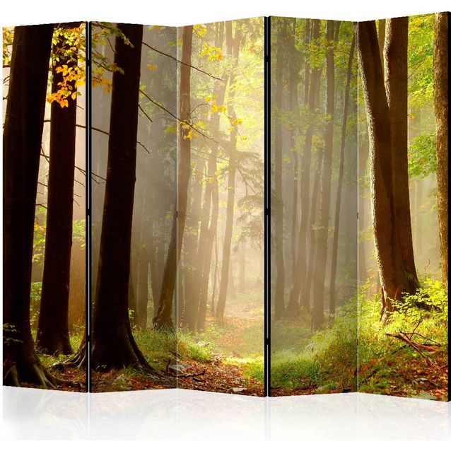 Sermi Artgeist Mysterious forest path II 225x172cm