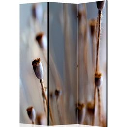 Sermi Artgeist Poppy heads 135x172cm