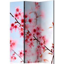 Sermi Artgeist Symbol of Japan - sakura flowers 135x172cm