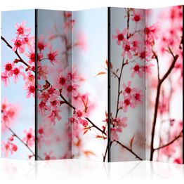 Sermi Artgeist Symbol of Japan - sakura flowers II 225x172cm