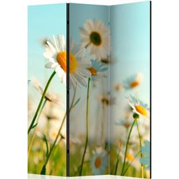 Sermi Artgeist Daisies - spring meadow 135x172cm