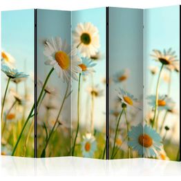 Sermi Artgeist Daisies - spring meadow 225x172cm