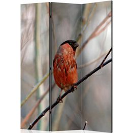 Sermi Artgeist Bullfinch in the forest 135x172cm