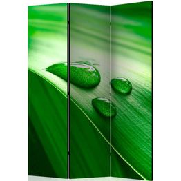 Sermi Artgeist Leaf and three drops of water 135x172cm