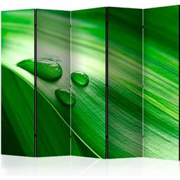 Sermi Artgeist Leaf and three drops of water II 225x172cm