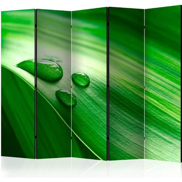 Sermi Artgeist Leaf and three drops of water II 225x172cm