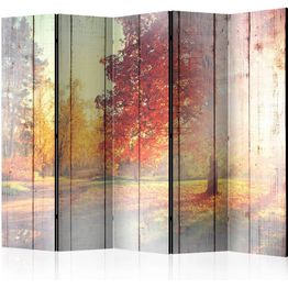 Sermi Artgeist Autumn Sun II 225x172cm