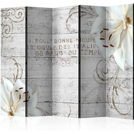 Sermi Artgeist Bonne Nouvelle II 225x172cm