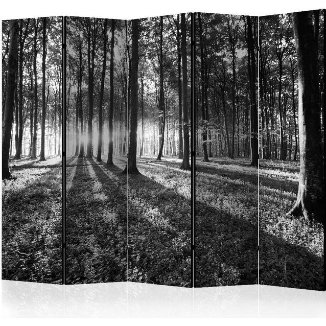 Sermi Artgeist Grey Wilderness II 225x172cm