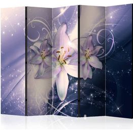 Sermi Artgeist Wintry Galaxy II 225x172cm