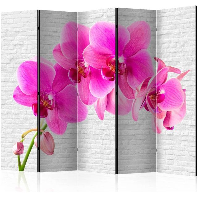 Sermi Artgeist Pink excitation II 225x172cm