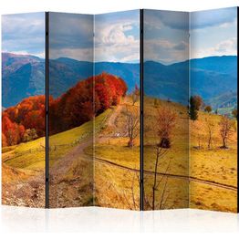 Sermi Artgeist Autumn landscape in the Carpathian mountains II 225x172cm