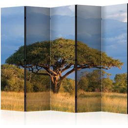 Sermi Artgeist African acacia tree Hwange National Park Zimbabwe II 225x172cm