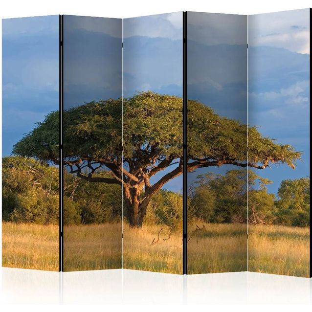 Sermi Artgeist African acacia tree Hwange National Park Zimbabwe II 225x172cm