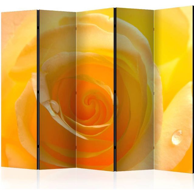 Sermi Artgeist Yellow rose II 225x172cm