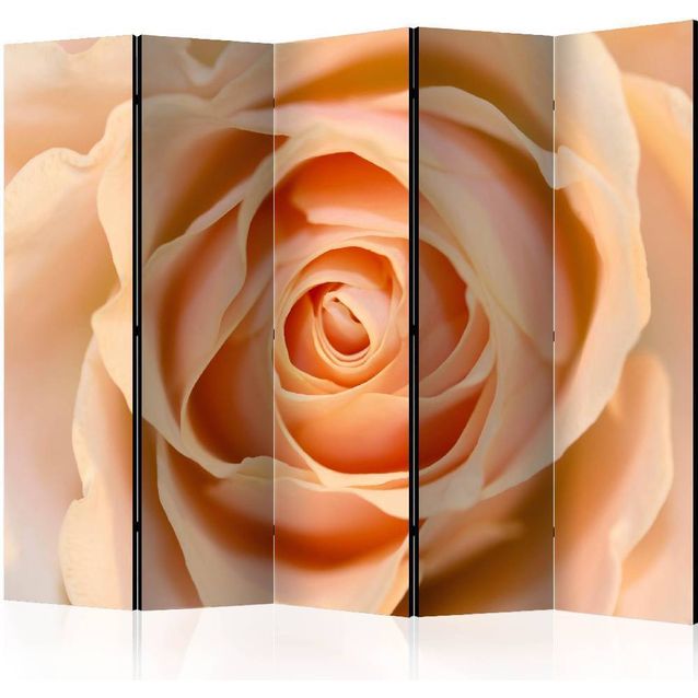 Sermi Artgeist Peach-colored rose II 225x172cm