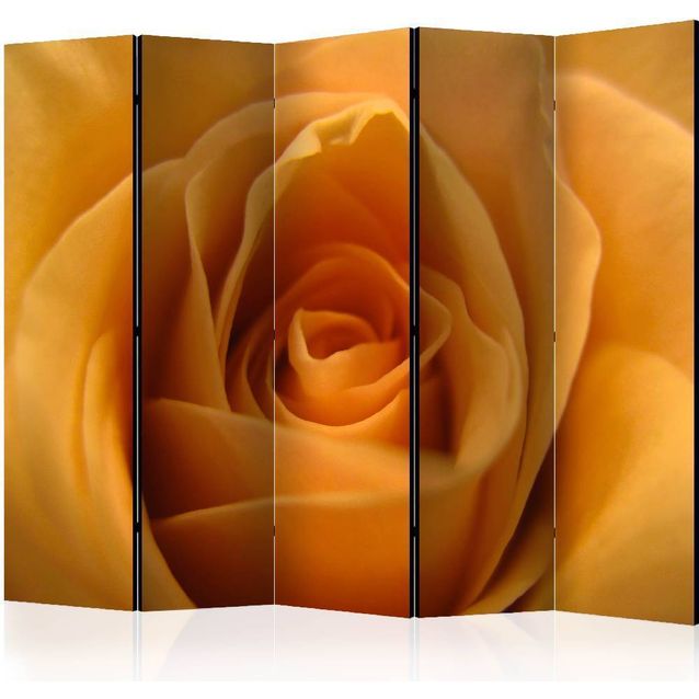 Sermi Artgeist Yellow rose - a symbol of friendship II 225x172cm