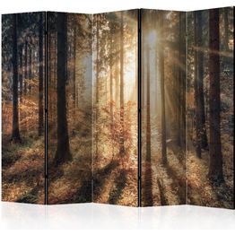 Sermi Artgeist Autumnal Forest 225x172cm