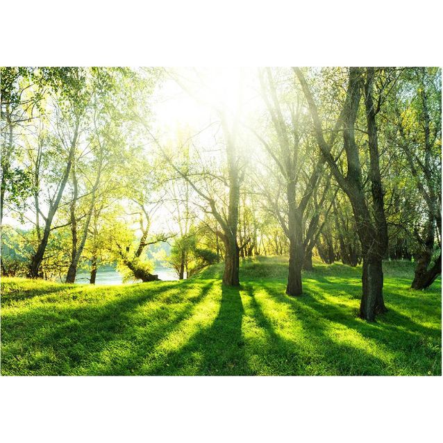 Kuvatapetti Artgeist Sunny May Day eri kokoja